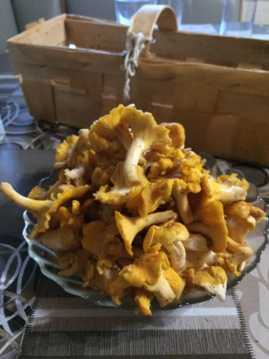 Sport & Freizeit Huis'n Hof