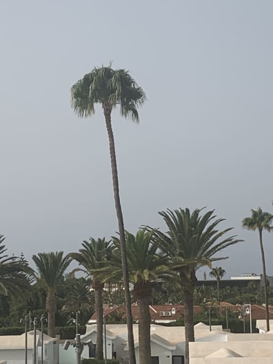 Ausblick Club Maspalomas Suites & SPA