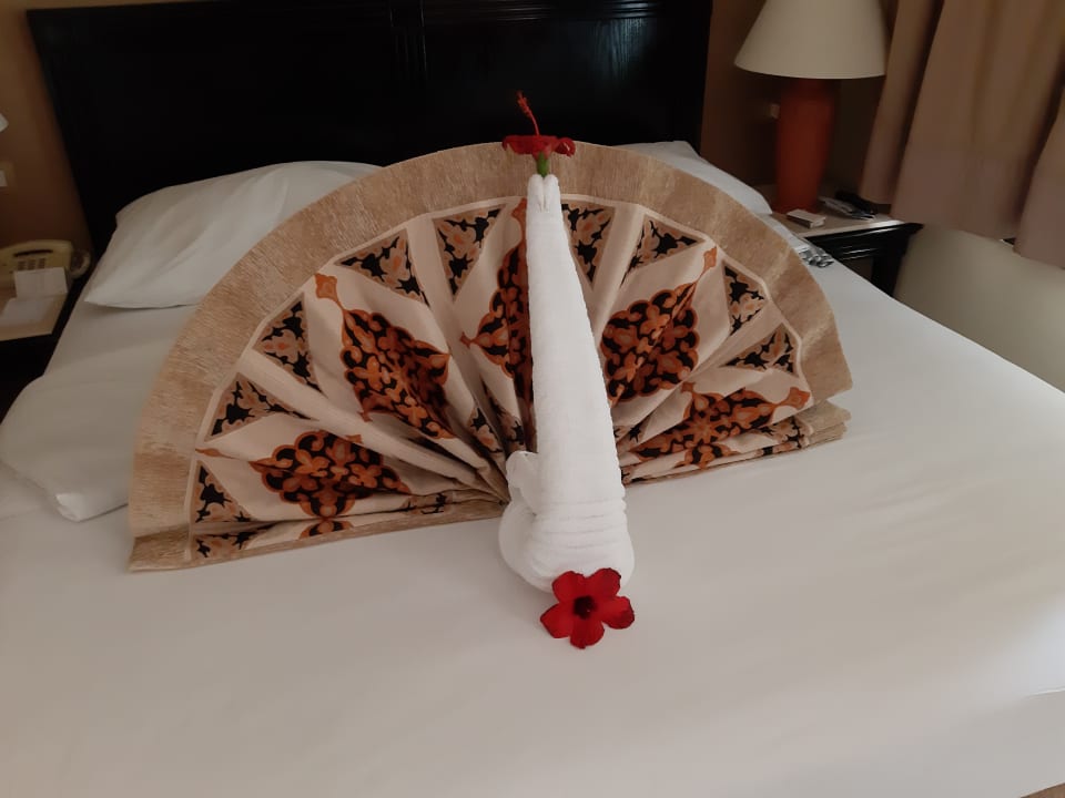 Zimmer Steigenberger Coraya Beach - Adults only