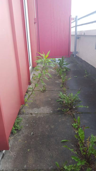 Unser 4* Balkon Congress Hotel Weimar by Mercure