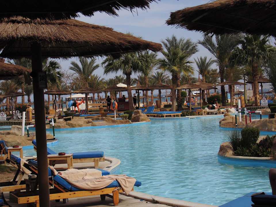 Großer Pool Pickalbatros Palace Resort