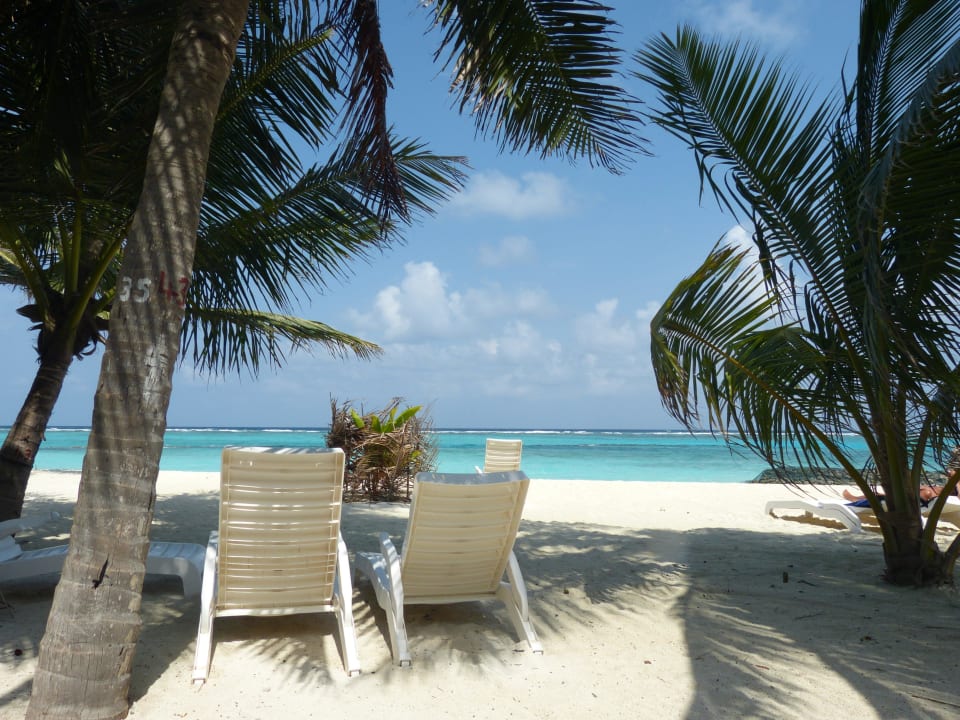 Superiorbungalow 214 Summer Island Maldives