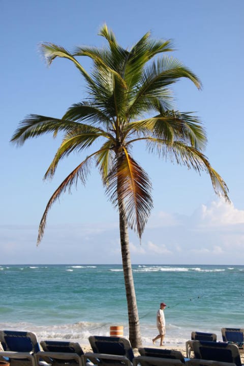 Palme Hotel Riu Palace Bavaro
