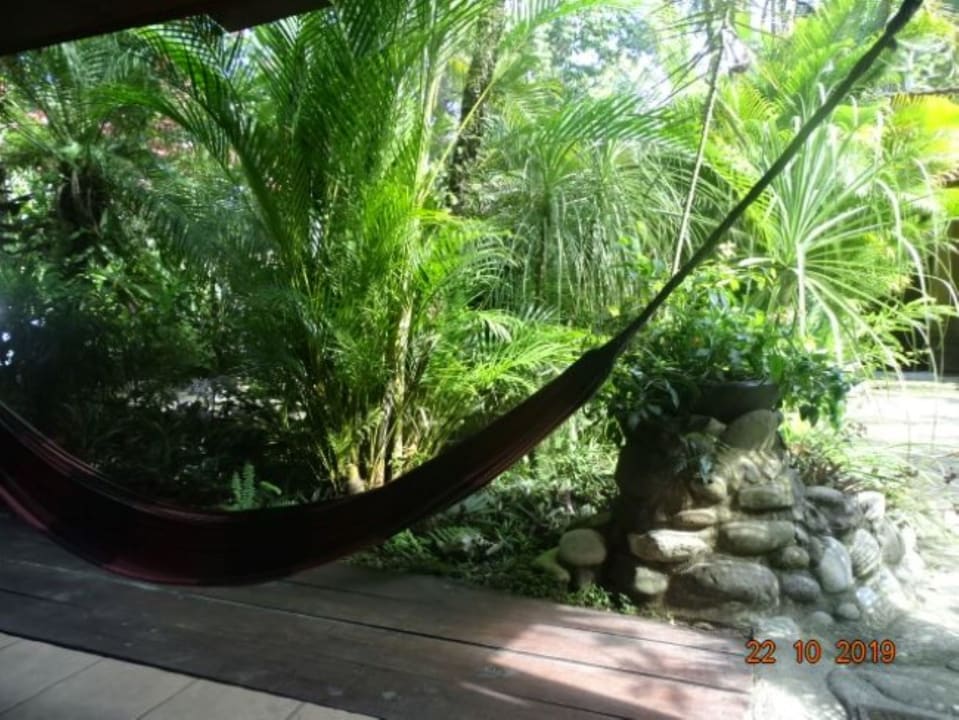 Ausblick Hotel Caribbean Coconut