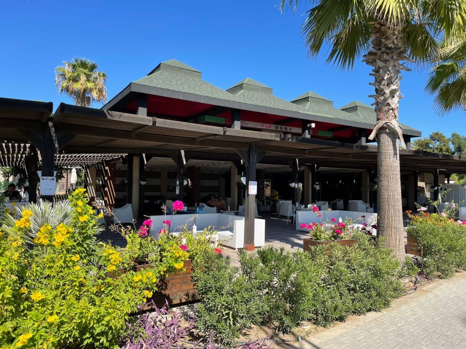 Gastro TUI MAGIC LIFE Masmavi