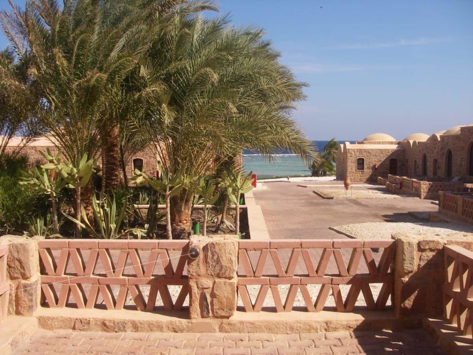 Blick vom Zimmer (Terrasse) 1422 Mövenpick Resort El Quseir