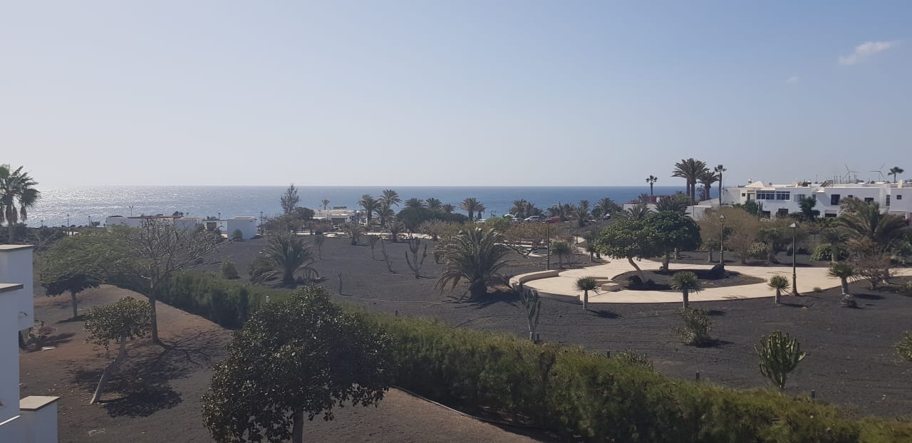 Ausblick allsun App.-Hotel Albatros