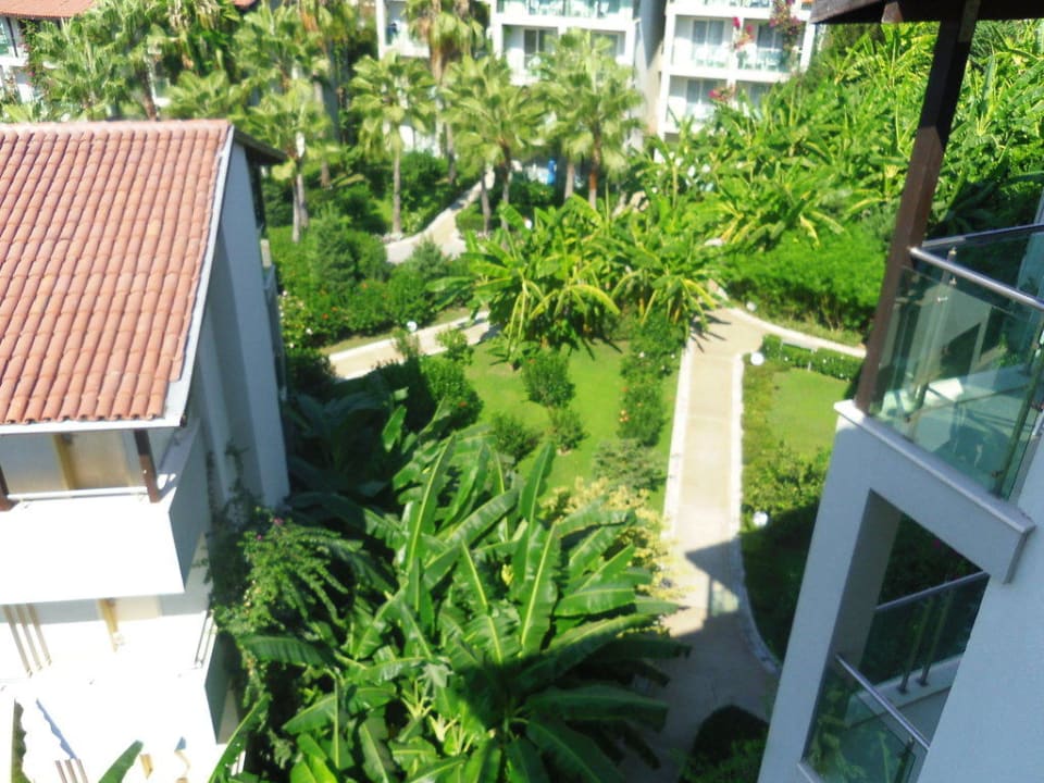 Palmen im Hotelgarten Sealife Buket Resort & Beach