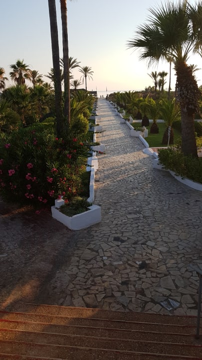 Gartenanlage Hotel Club Tropicana & Spa