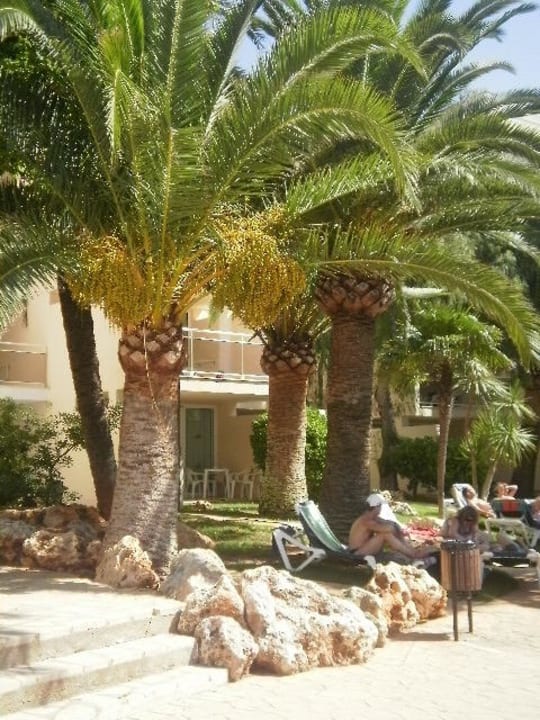 Gang auf die Terrassen Protur Floriana Resort Aparthotel