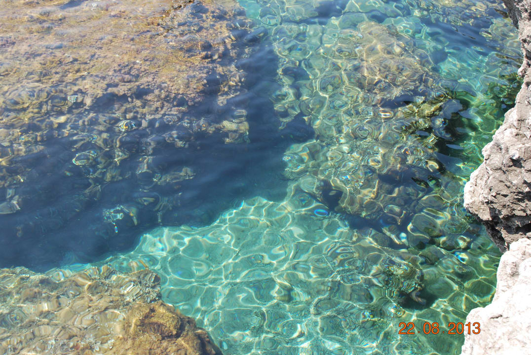 Glasklares Wasser + Fische Hotel Kalithea Mare Palace