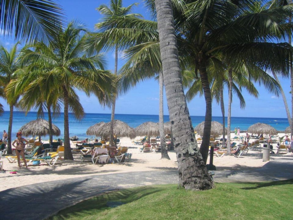 Strand Hotel Viva Dominicus Palace by Wyndham-All Inclusive Resort