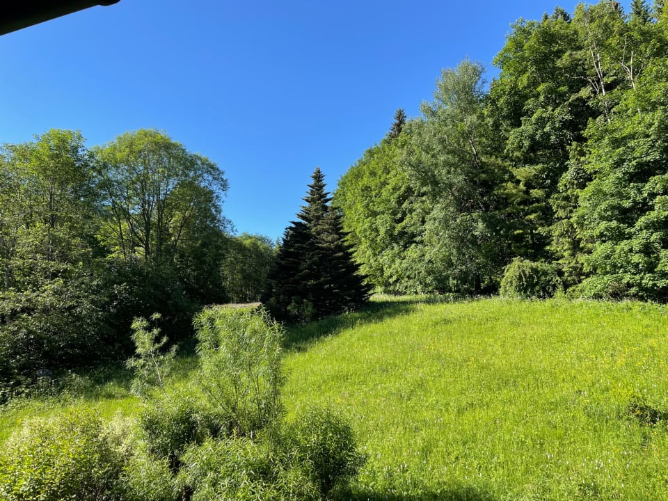 Ausblick Hotel Pfeiffermühle