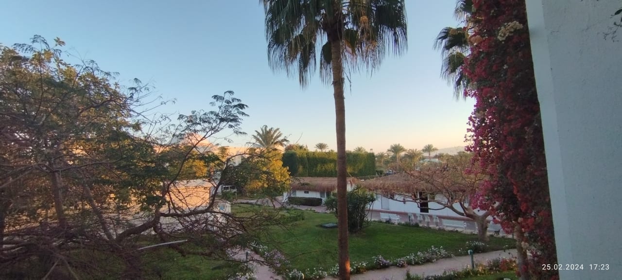 Ausblick Desert Rose