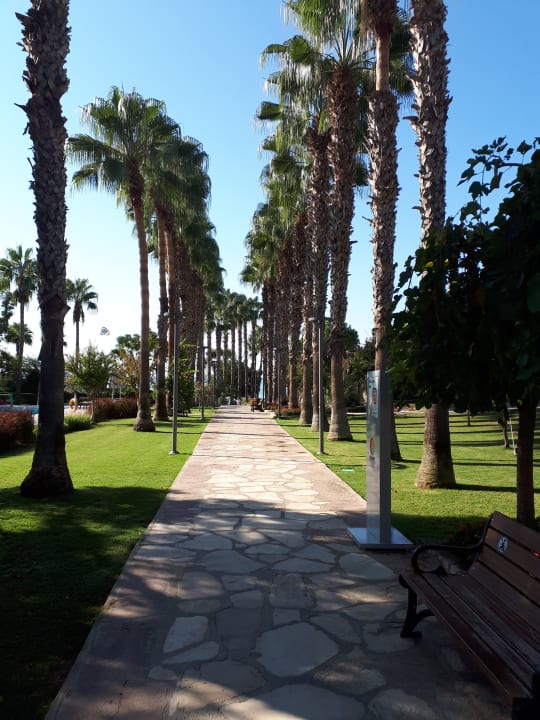 Gartenanlage Arum Barut Collection