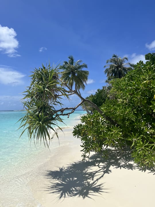 Strand Vilamendhoo Island Resort & Spa