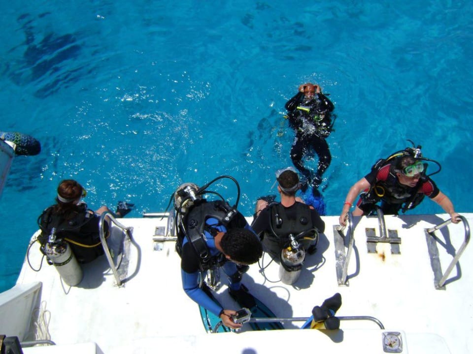 Nurkowanie Regency Plaza Aqua Park & Spa