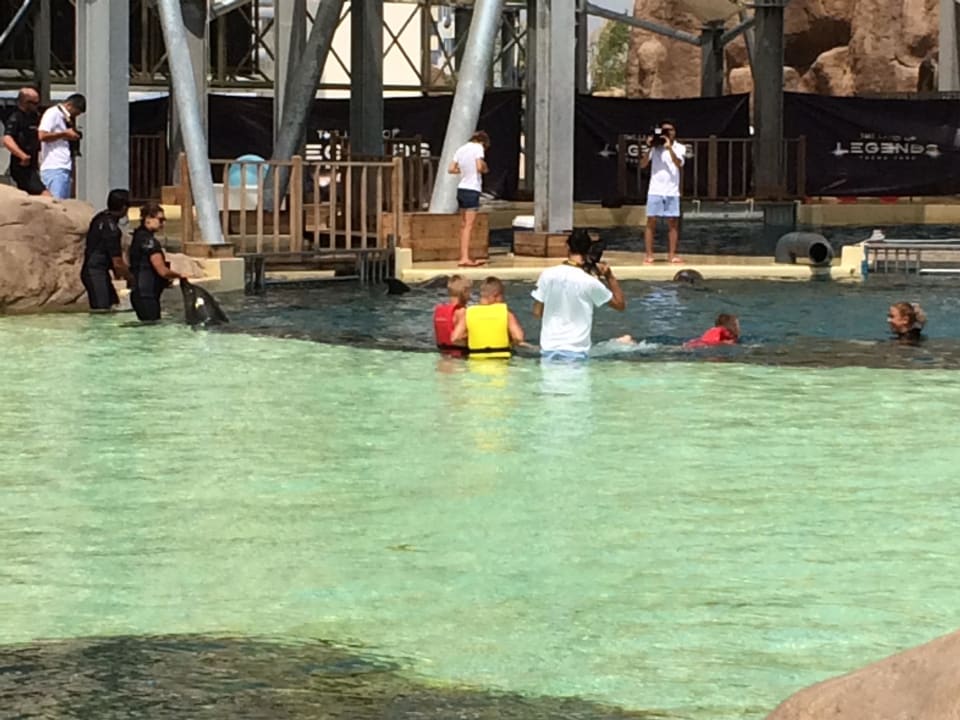 Delfinlagune The Land of Legends Kingdom Hotel