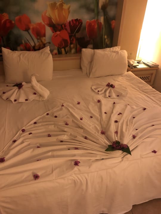 Zimmer Salmakis Resort & Spa