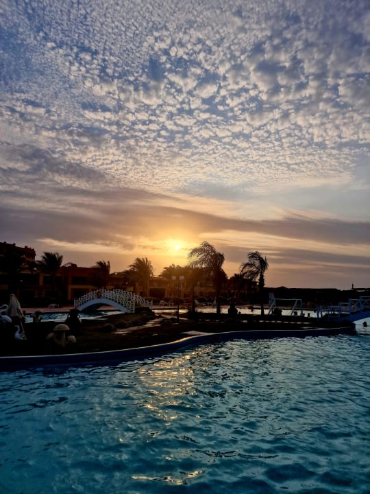 Pool Malikia Resort Abu Dabbab