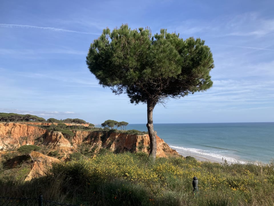 Ausblick PortoBay Falésia