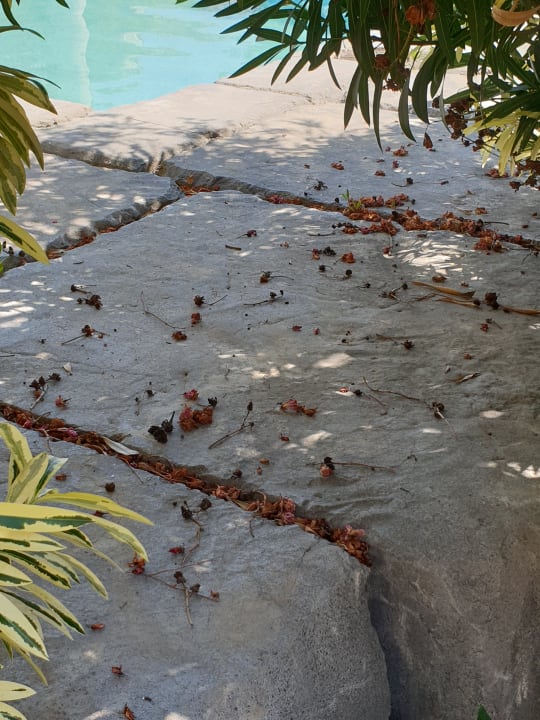 Sonstiges Xanadu Resort Hotel