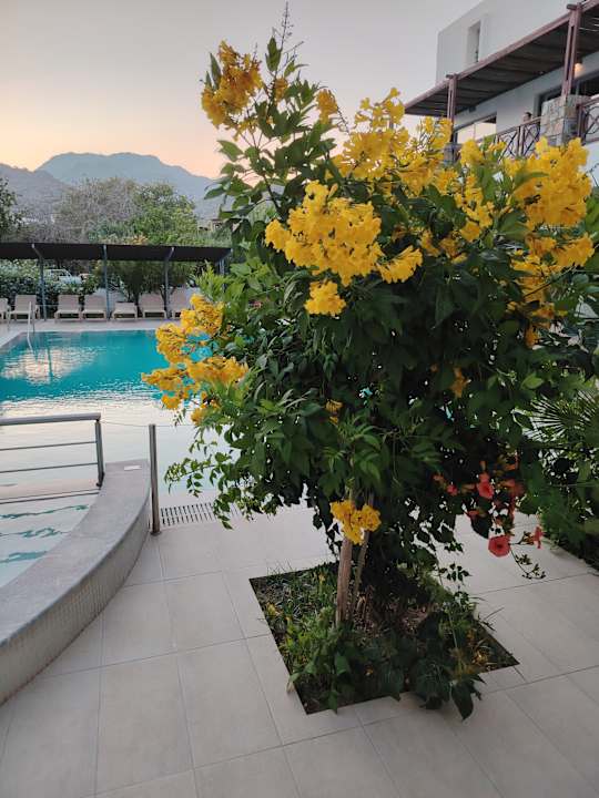 Pool Hotel South Coast