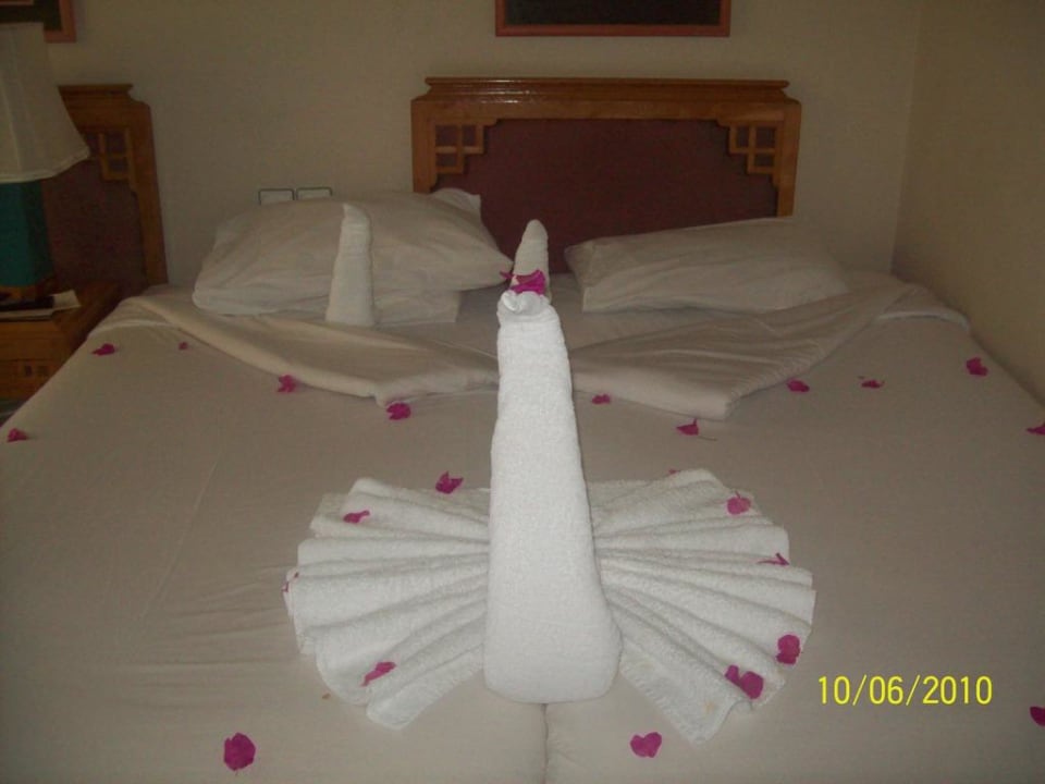 Swan left on our bed SUNRISE Holidays Resort (Adults Only)