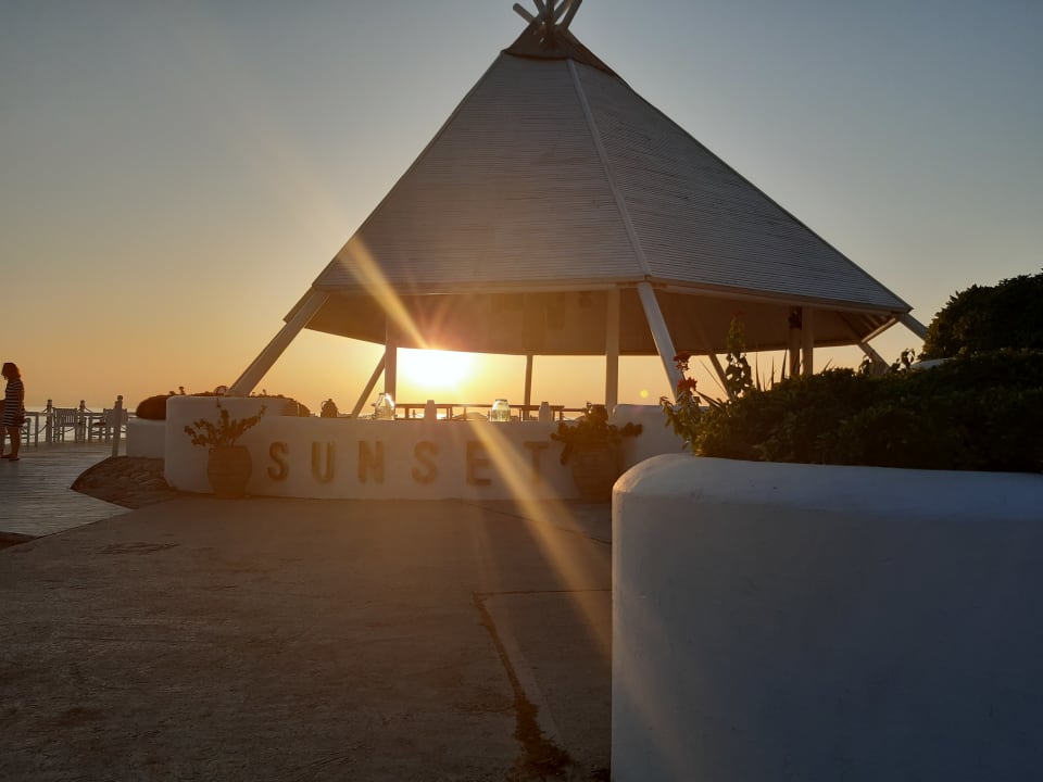 Strand Balmy Foresta