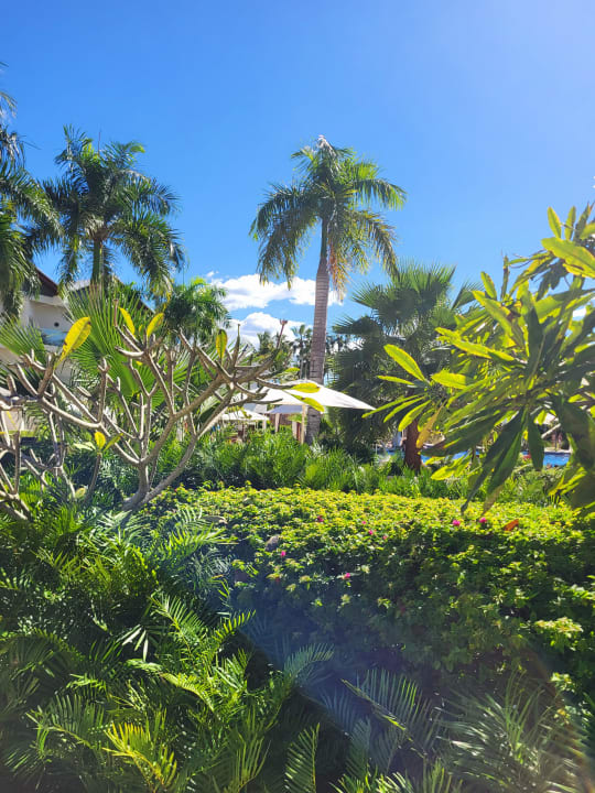 Außenansicht Secrets La Romana Resort & Spa - Adult Only