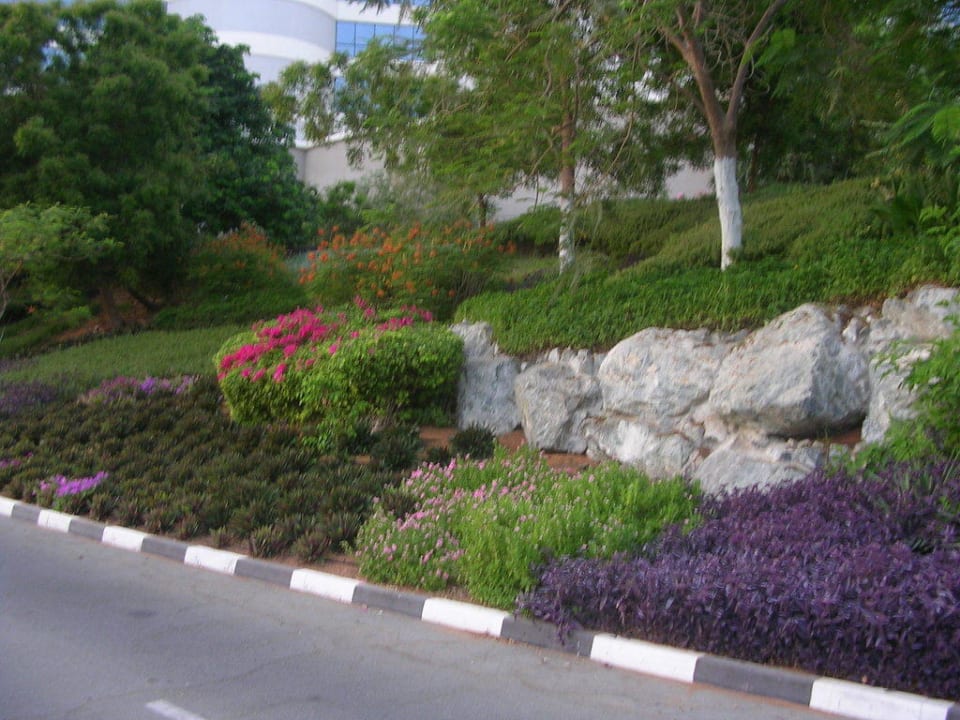 Zufahrt zum Hotel Hotel Le Meridien Al Aqah Beach Resort