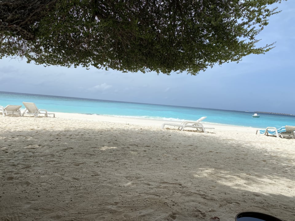 Zimmer Thulhagiri Island Resort