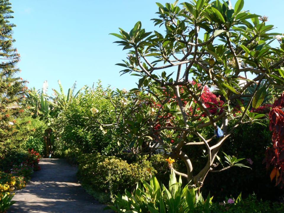 Botanischer Garden von Quinta Splendida Hotel Quinta Splendida Wellness & Botanical Garden