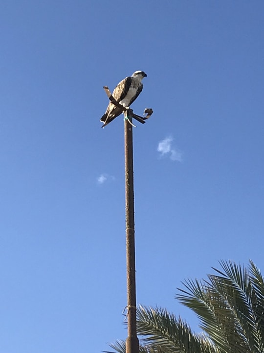 Sonstiges Bliss Nada Beach Resort