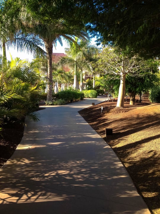 Alles gepflegt Lopesan Baobab Resort