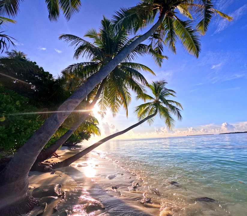 Strand Vilamendhoo Island Resort & Spa