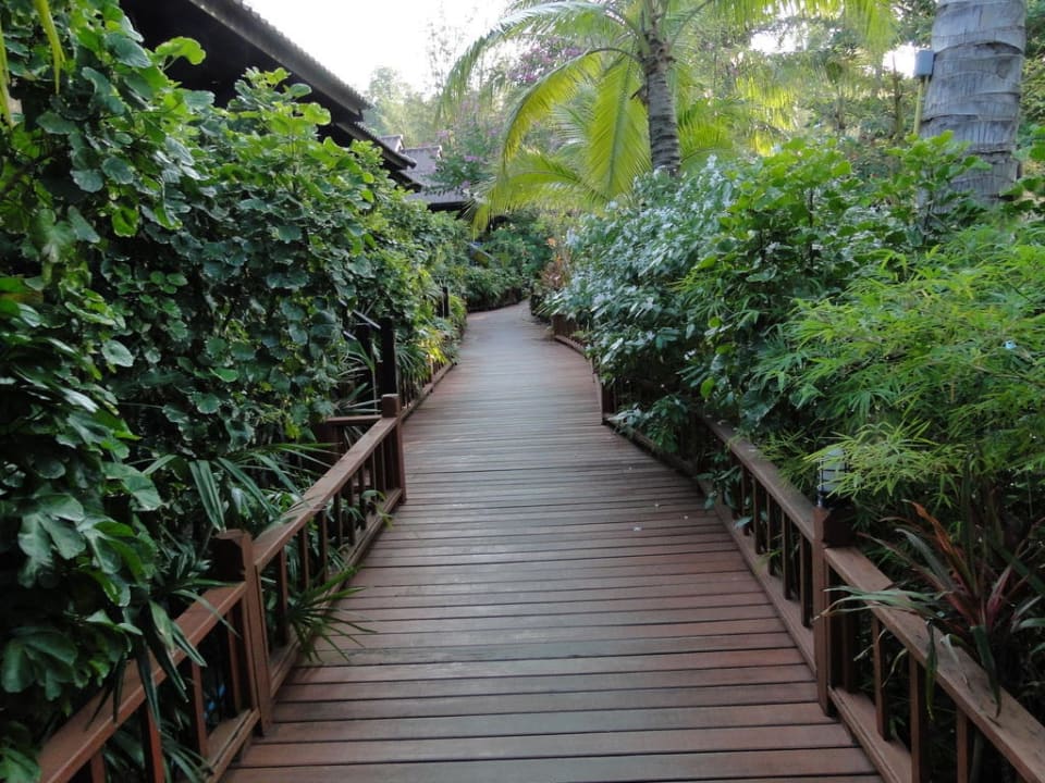 Weg zu den Bungalows Hotel Salad Hut