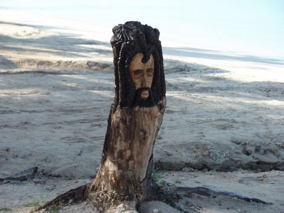 Bob am Strand Hotel Riu Negril