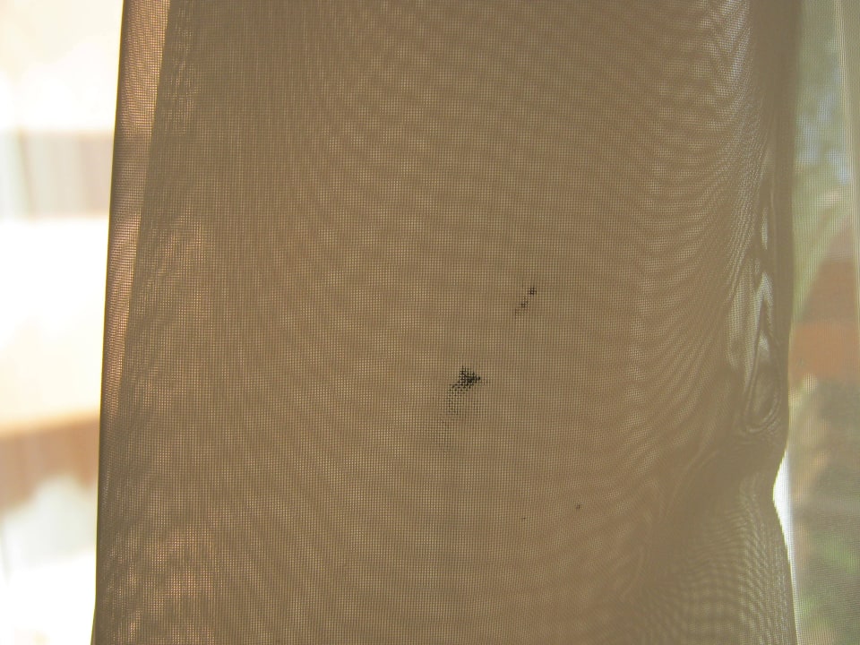 Schmutzige Gardine Jaz Makadi Blue - TUI BLUE Makadi - Adults Friendly 16 Years Plus