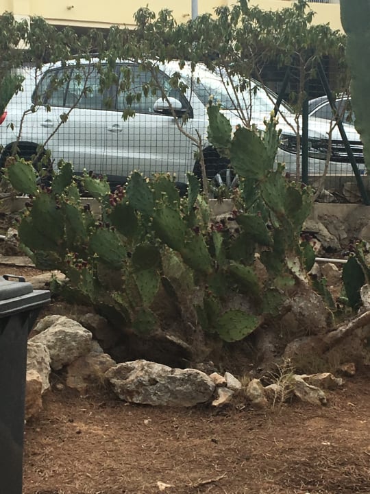 Sonstiges Sun Club Eldorado