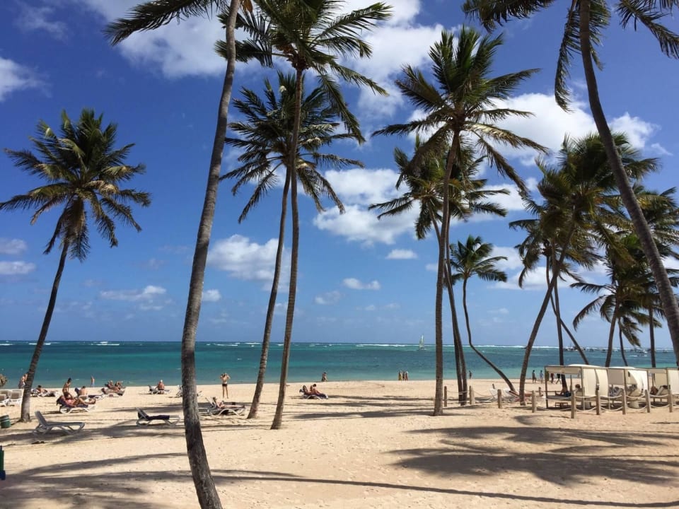 Toller Hotelstrand Meliá Caribe Beach Resort-All Inclusive