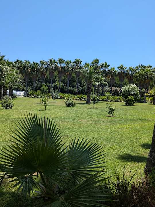 Gartenanlage Royal Atlantis Beach Hotel