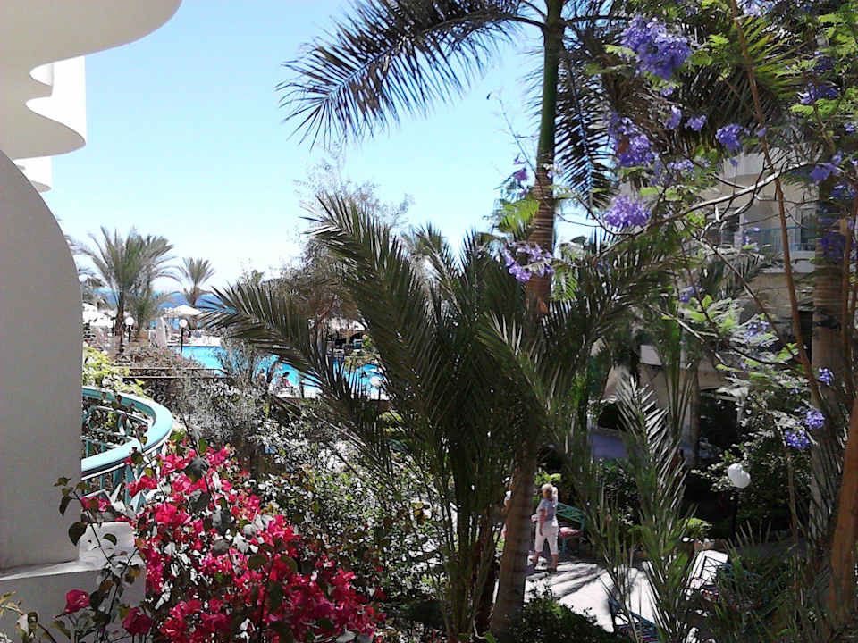 Ausblick vom Zimmer im Nordtrakt = Südbalkon Bella Vista Resort Hurghada