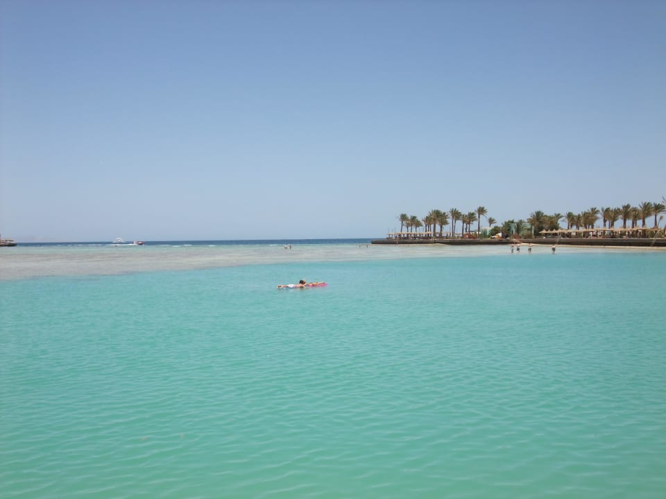 Aussicht vom Strand Arabia Azur Resort