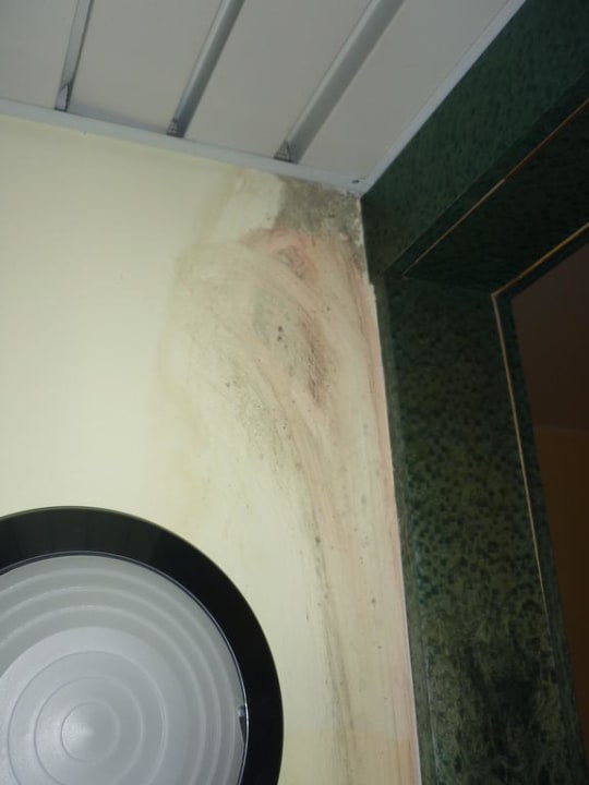 Und noch mehr Schimmel Hotel Internazionale