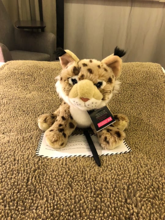 Zimmer Glo Hotel Art