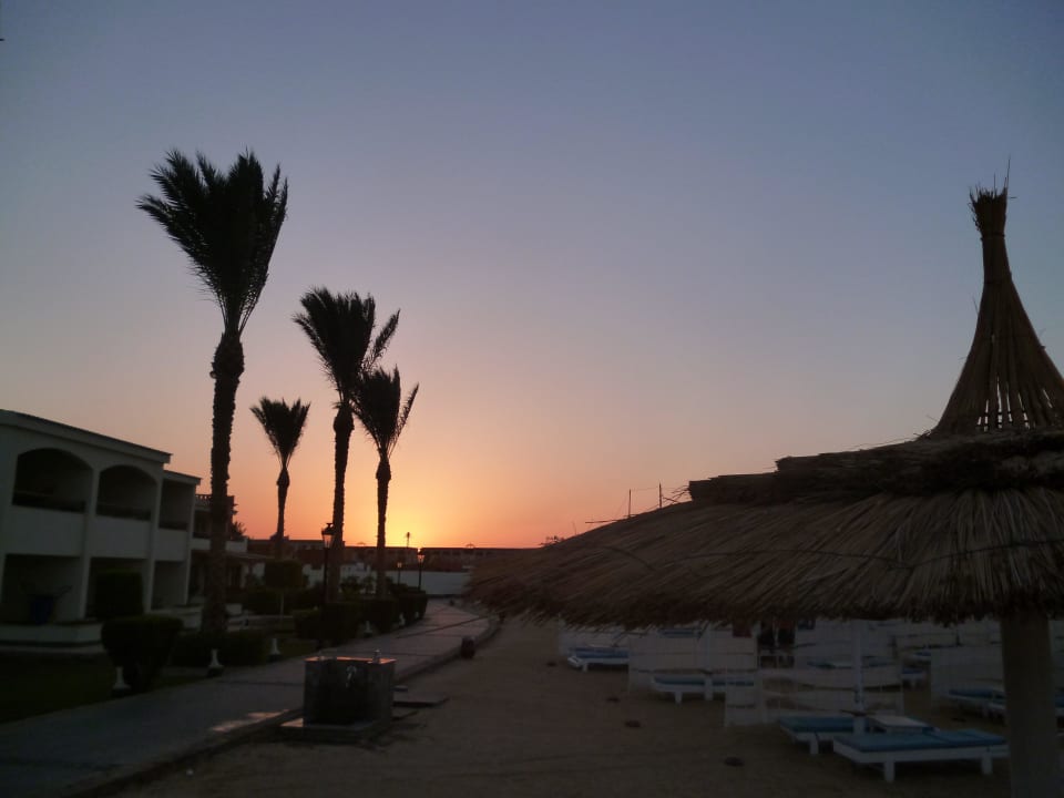 Nach dem Absacker der Sonnenuntergang Pickalbatros Dana Beach Resort - Hurghada