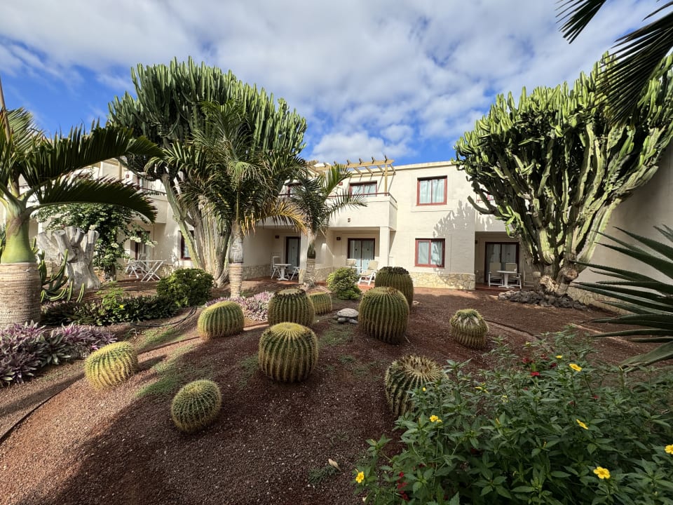 Außenansicht Alua Suites Fuerteventura