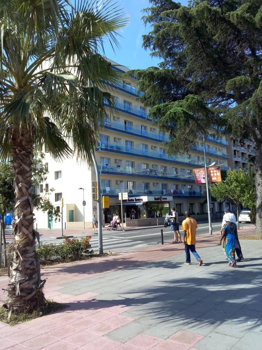 Eingang / Front Hotel Festa Brava