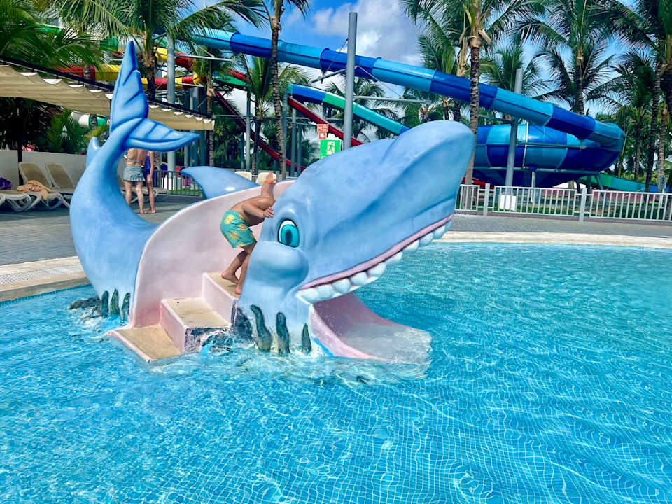 Pool Hotel Riu Palace Bavaro